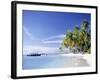 Tropical Beach and Palm Trees, Maldives, Indian Ocean-Danielle Gali-Framed Photographic Print