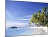 Tropical Beach and Palm Trees, Maldives, Indian Ocean-Danielle Gali-Mounted Photographic Print