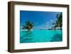 Tropical Beach and Pool-oleggawriloff-Framed Photographic Print