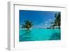 Tropical Beach and Pool-oleggawriloff-Framed Photographic Print