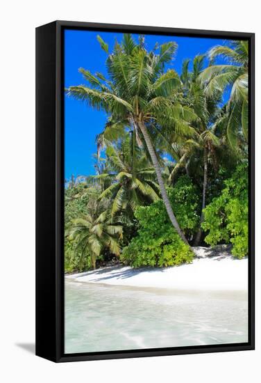 Tropical Beach and Water-Lizon-Framed Stretched Canvas