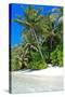 Tropical Beach and Water-Lizon-Stretched Canvas