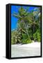 Tropical Beach and Water-Lizon-Framed Stretched Canvas