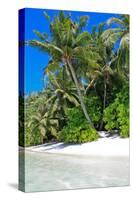 Tropical Beach and Water-Lizon-Stretched Canvas