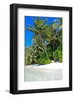 Tropical Beach and Water-Lizon-Framed Photographic Print