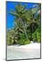 Tropical Beach and Water-Lizon-Mounted Photographic Print