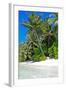 Tropical Beach and Water-Lizon-Framed Photographic Print