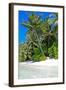 Tropical Beach and Water-Lizon-Framed Photographic Print