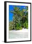 Tropical Beach and Water-Lizon-Framed Photographic Print