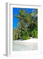 Tropical Beach and Water-Lizon-Framed Photographic Print