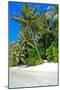 Tropical Beach and Water-Lizon-Mounted Photographic Print