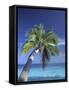 Tropical Beach at Maldives, Indian Ocean-Jon Arnold-Framed Stretched Canvas