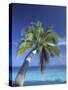 Tropical Beach at Maldives, Indian Ocean-Jon Arnold-Stretched Canvas