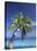 Tropical Beach at Maldives, Indian Ocean-Jon Arnold-Stretched Canvas