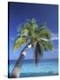 Tropical Beach at Maldives, Indian Ocean-Jon Arnold-Stretched Canvas