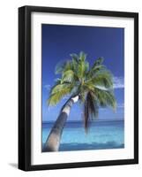 Tropical Beach at Maldives, Indian Ocean-Jon Arnold-Framed Photographic Print