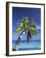 Tropical Beach at Maldives, Indian Ocean-Jon Arnold-Framed Photographic Print