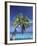 Tropical Beach at Maldives, Indian Ocean-Jon Arnold-Framed Photographic Print