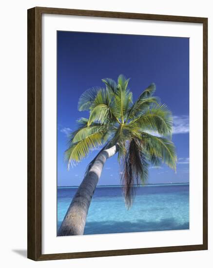 Tropical Beach at Maldives, Indian Ocean-Jon Arnold-Framed Photographic Print