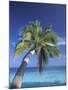 Tropical Beach at Maldives, Indian Ocean-Jon Arnold-Mounted Photographic Print