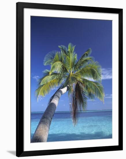 Tropical Beach at Maldives, Indian Ocean-Jon Arnold-Framed Photographic Print