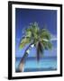 Tropical Beach at Maldives, Indian Ocean-Jon Arnold-Framed Photographic Print