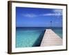 Tropical Beach at Maldives, Indian Ocean-Jon Arnold-Framed Photographic Print