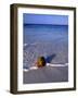 Tropical Beach at Maldives, Indian Ocean-Jon Arnold-Framed Photographic Print