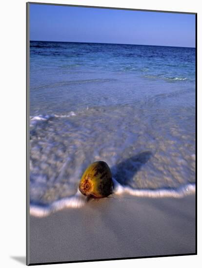 Tropical Beach at Maldives, Indian Ocean-Jon Arnold-Mounted Photographic Print