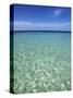 Tropical Beach at Maldives, Indian Ocean-Jon Arnold-Stretched Canvas