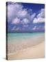 Tropical Beach at Maldives, Indian Ocean-Jon Arnold-Stretched Canvas