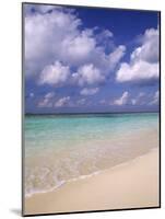 Tropical Beach at Maldives, Indian Ocean-Jon Arnold-Mounted Photographic Print