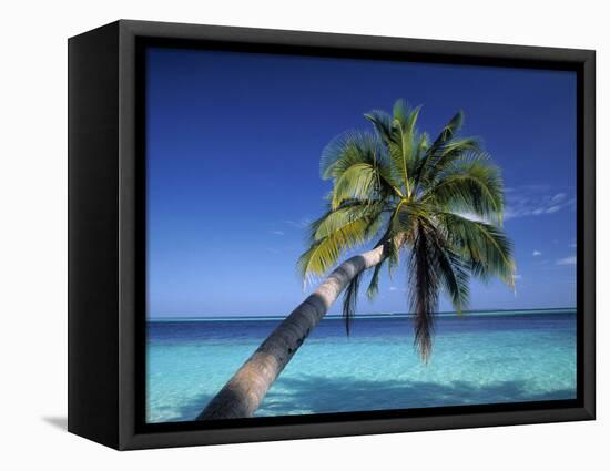 Tropical Beach at Maldives-Jon Arnold-Framed Stretched Canvas