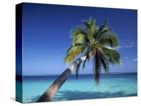 Tropical Beach at Maldives-Jon Arnold-Stretched Canvas