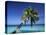 Tropical Beach at Maldives-Jon Arnold-Stretched Canvas