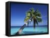 Tropical Beach at Maldives-Jon Arnold-Framed Stretched Canvas