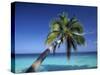 Tropical Beach at Maldives-Jon Arnold-Stretched Canvas