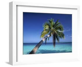 Tropical Beach at Maldives-Jon Arnold-Framed Photographic Print