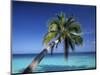 Tropical Beach at Maldives-Jon Arnold-Mounted Photographic Print