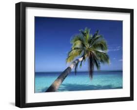 Tropical Beach at Maldives-Jon Arnold-Framed Photographic Print