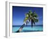 Tropical Beach at Maldives-Jon Arnold-Framed Photographic Print