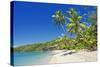 Tropical Beach, Drawaqa Island, Yasawa Island Group, Fiji, South Pacific Islands, Pacific-Marco Simoni-Stretched Canvas