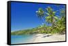 Tropical Beach, Drawaqa Island, Yasawa Island Group, Fiji, South Pacific Islands, Pacific-Marco Simoni-Framed Stretched Canvas