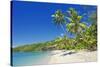 Tropical Beach, Drawaqa Island, Yasawa Island Group, Fiji, South Pacific Islands, Pacific-Marco Simoni-Stretched Canvas