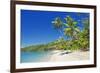 Tropical Beach, Drawaqa Island, Yasawa Island Group, Fiji, South Pacific Islands, Pacific-Marco Simoni-Framed Photographic Print