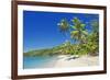 Tropical Beach, Drawaqa Island, Yasawa Island Group, Fiji, South Pacific Islands, Pacific-Marco Simoni-Framed Photographic Print