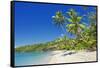 Tropical Beach, Drawaqa Island, Yasawa Island Group, Fiji, South Pacific Islands, Pacific-Marco Simoni-Framed Stretched Canvas