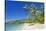 Tropical Beach, Drawaqa Island, Yasawa Island Group, Fiji, South Pacific Islands, Pacific-Marco Simoni-Stretched Canvas