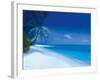 Tropical Beach I-Paul Brown-Framed Giclee Print