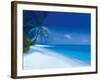 Tropical Beach I-Paul Brown-Framed Giclee Print